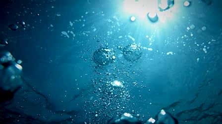 bubbles going upwards on a body of water