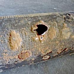 ductile-pipe-corrosion